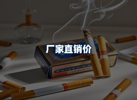 专业团队办公环境